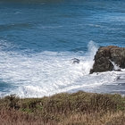 treesandmagma thumbnail