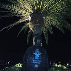 邦楽 BLACK SMOKER RECORDS BLACK RECORDER BOX Music | BLACK SMOKER RECORDS