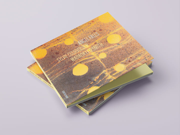 Angel Falls | SYLVIE COURVOISIER - WADADA LEO SMITH | Sylvie