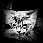 Luma_Chroma thumbnail