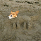 laRebec thumbnail