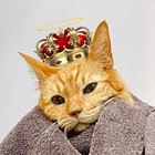 alexbaut thumbnail
