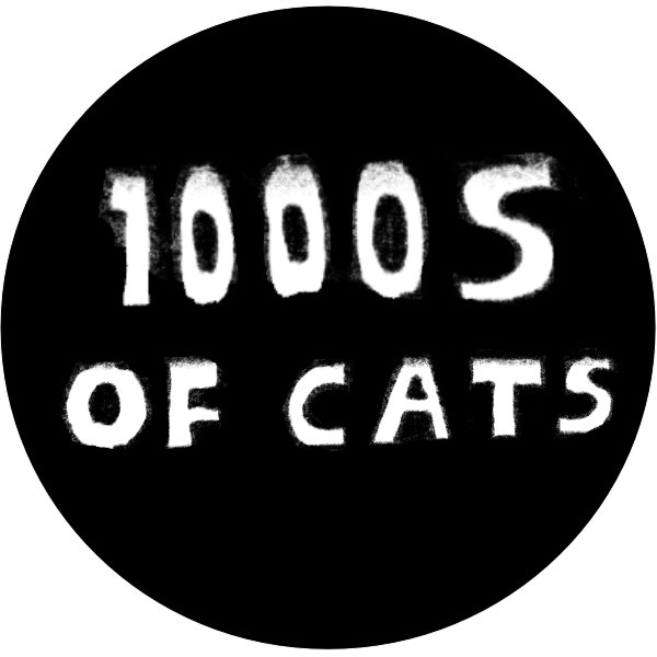 Next of Cat | 1000s of cats