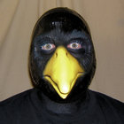crowlord thumbnail