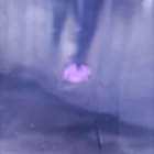 sndwn291 thumbnail