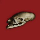 and-amp-fan thumbnail