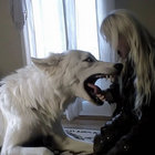 remina8037 thumbnail