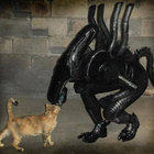 r_stod thumbnail