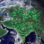 cerngreen thumbnail