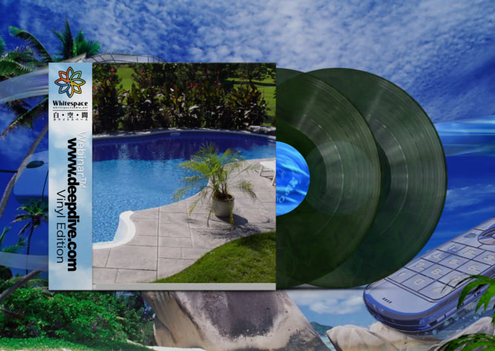 Webinar™ – www.deepdive.com lim.20 Vinyl w w w . d e e p d i v e . c o m | Webinar™ | Whitespace