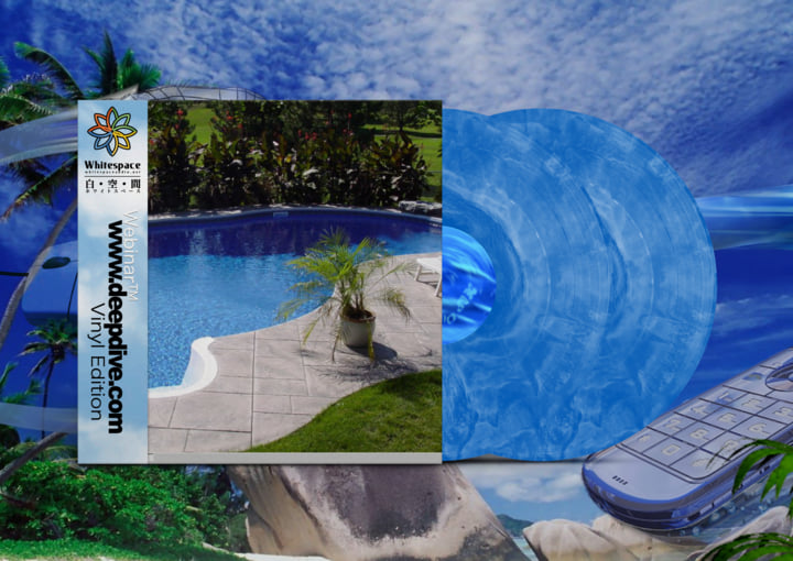 w w w . d e e p d i v e . c o m | Webinar™ | Whitespace