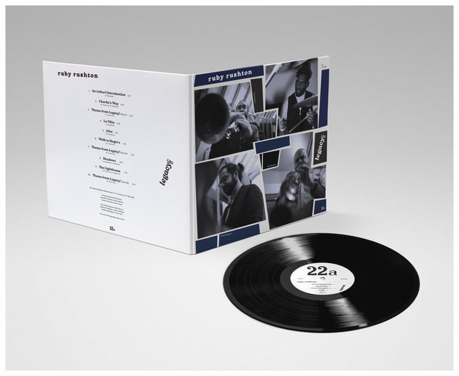 12&quot; Deluxe 180g Vinyl, image 5