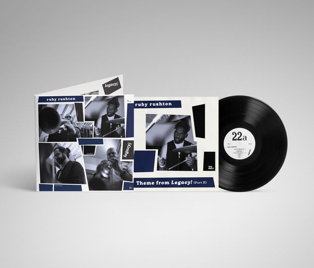 12&quot; Deluxe 180g Vinyl, image 3