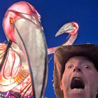 Tom Moses thumbnail