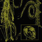 mildew thumbnail
