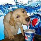 swavsin thumbnail