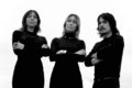 The Phenomenal Handclap Band — Photo