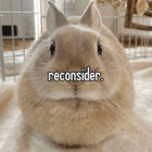 doctorcello thumbnail