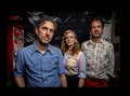 Great Lake Swimmers image