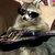 guitarrac_ thumbnail