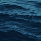 FRXCTXRX thumbnail