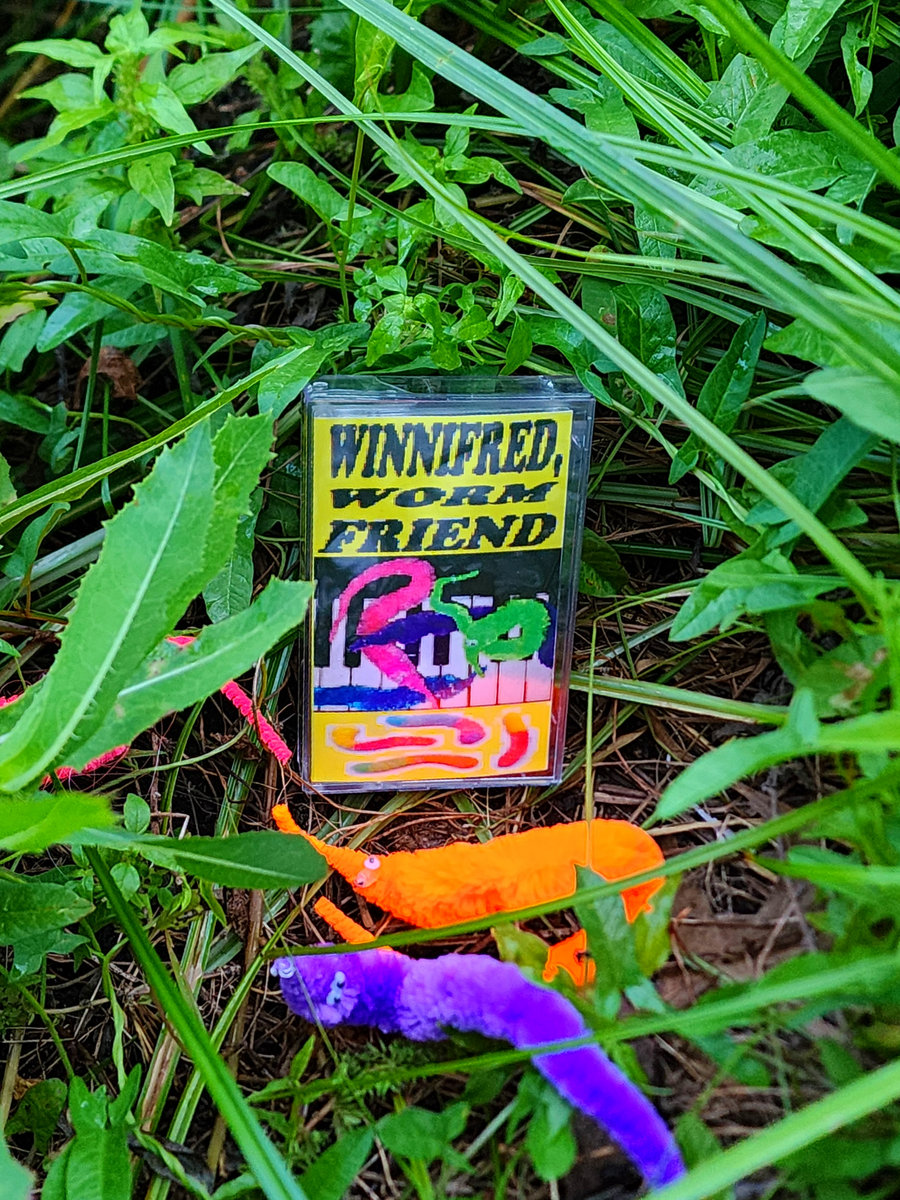 cassettes