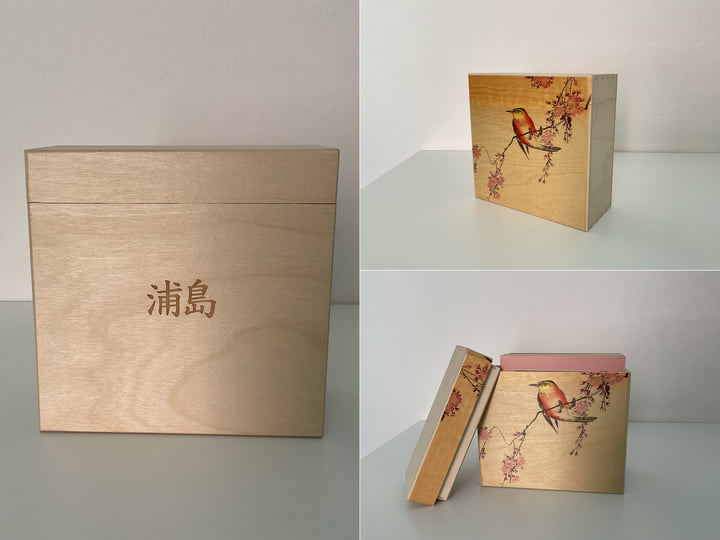 Merzbow/Nine Studies Of Ephemeral..2点セット Nine Studies of Ephemeral Resonance Volume 1 - 9 | Merzbow