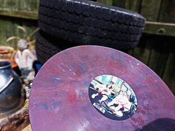 Limited Vinyl, image 3