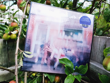 Limited Vinyl, image 5