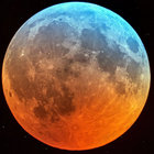 w_b_m thumbnail