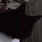 khong thumbnail