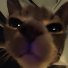 siemturbo thumbnail