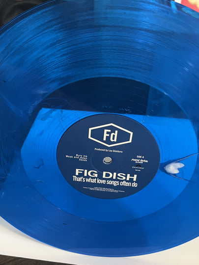 ボブ・ディラン　Everything Looks Far Away (2CD) That's What Love Songs Often Do | Fig Dish | Forge Again Records