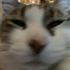 alx thumbnail
