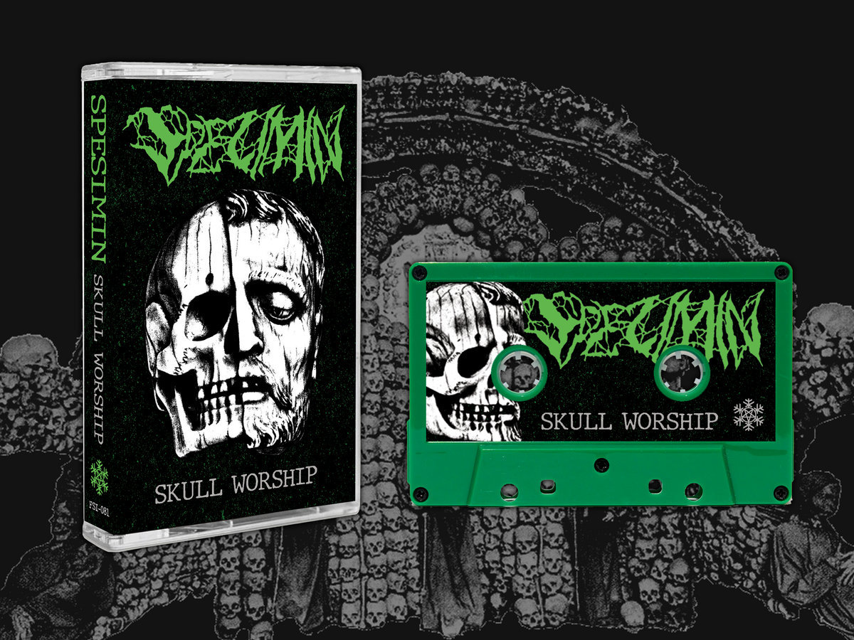 その他 Skull Worship [CD] Skull Worship | SPESIMIN