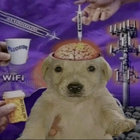 jitterskulls thumbnail