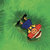 𖤓 thumbnail