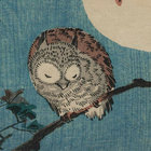 j001 thumbnail