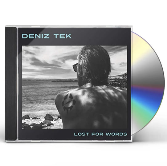 Lost For Words | Deniz Tek