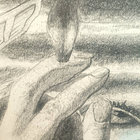 t_gris thumbnail