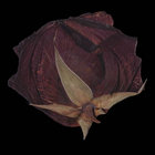 sinnerman-cain thumbnail