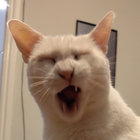 James thumbnail