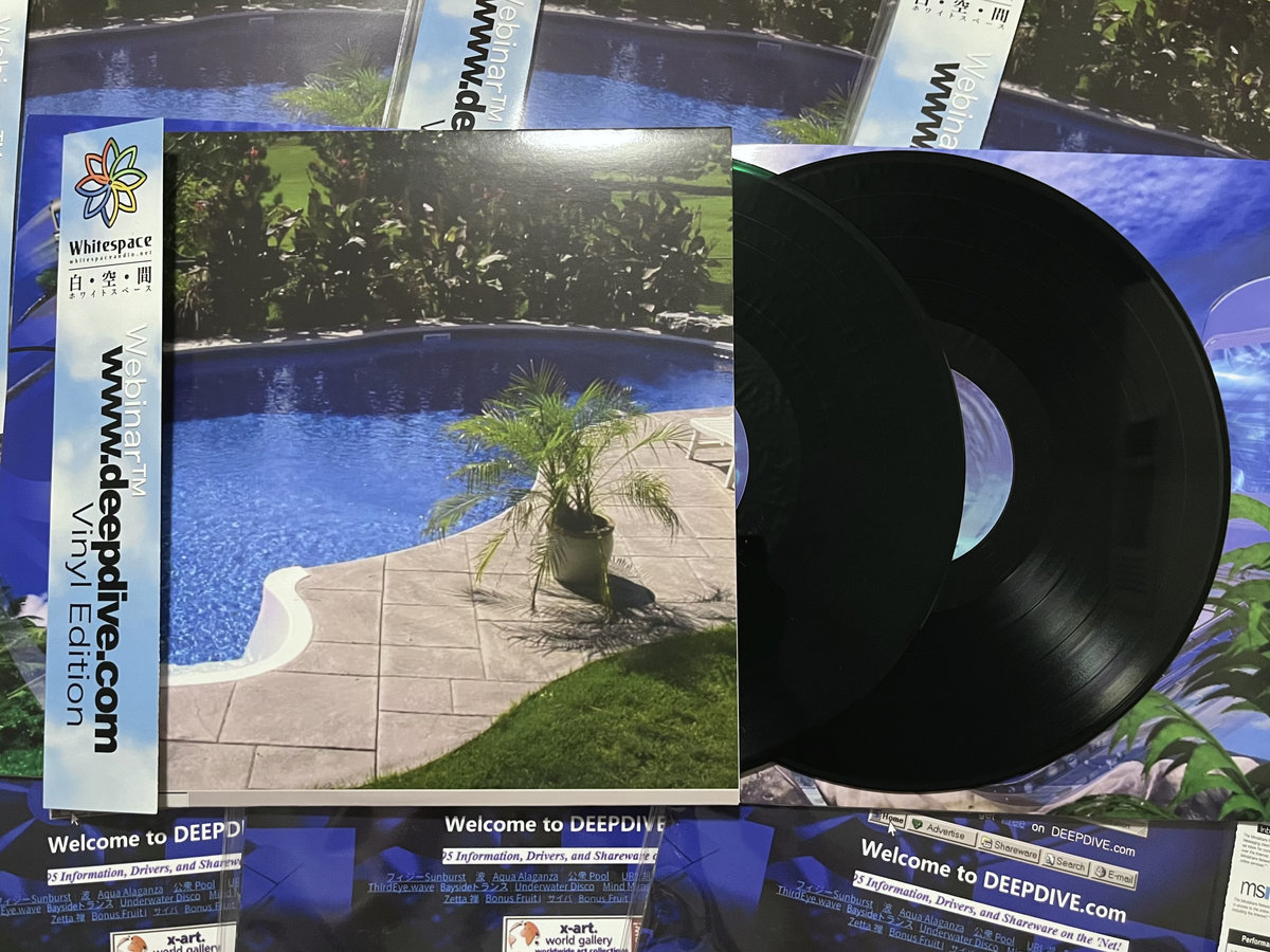 Webinar™ – www.deepdive.com lim.20 Vinyl w w w . d e e p d i v e . c o m | Webinar™ | Whitespace