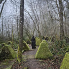 Forest Wanderer thumbnail