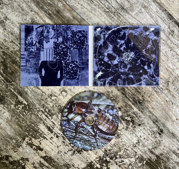 Iron Fist in a Velvet Glove | Vessel of Flesh | ABHORRENT A.D.