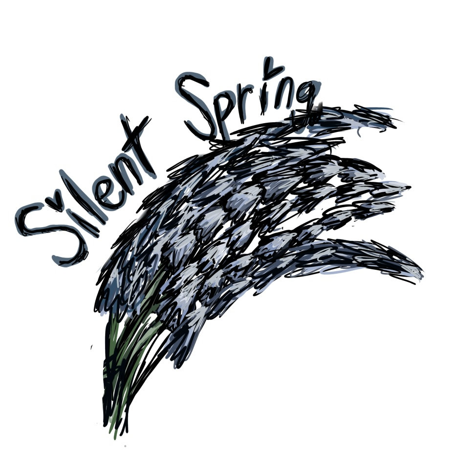 25 Demo Silent Spring