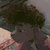 will thumbnail