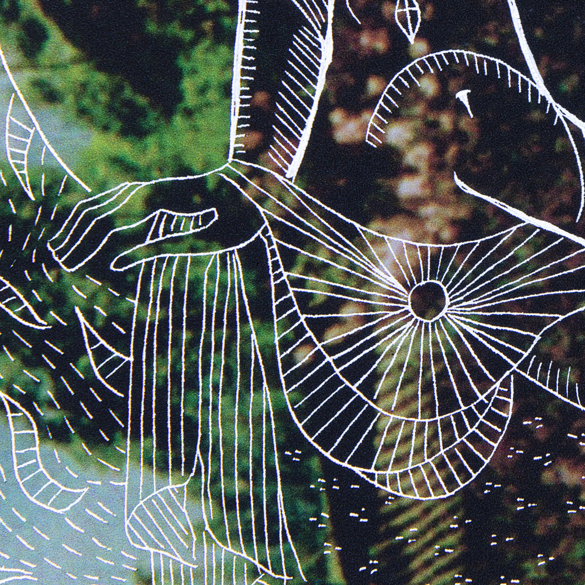 Four More Dubs | Semtek