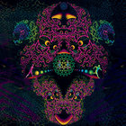 giborhayam thumbnail