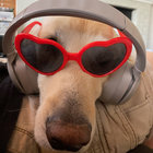 bryanstacks thumbnail